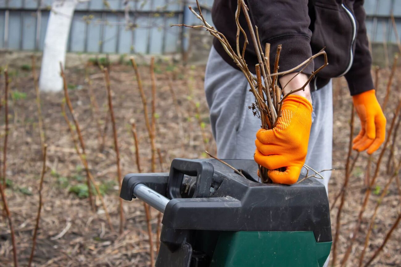 Rozdrabniacz do gałęzi - jaki wybrać? Wskazówki i porady