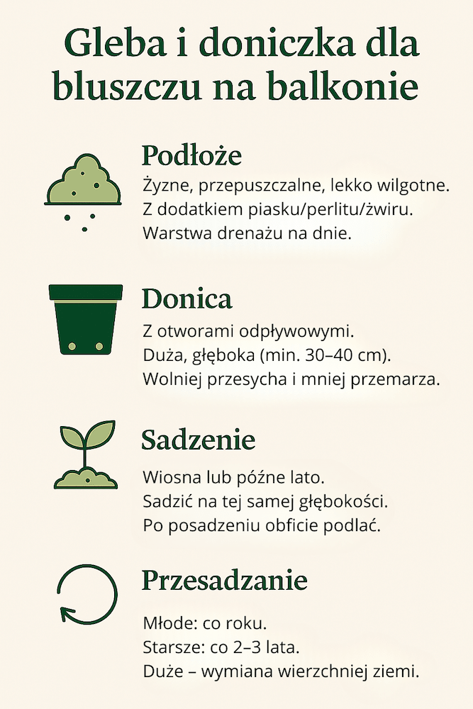 bluszcz na balkonie - najważniejsze wymagania glebowe i doniczkowe 