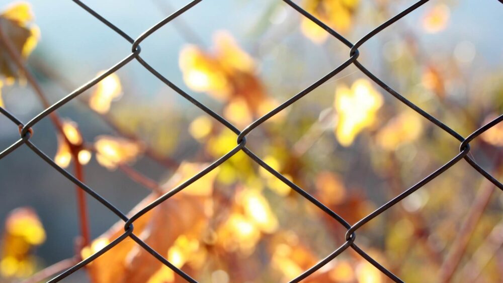 jakie ogrodzenie jest najtańsze na przykładzie domu jakie ogrodzenie jest najtańsze na przykładzie posesji