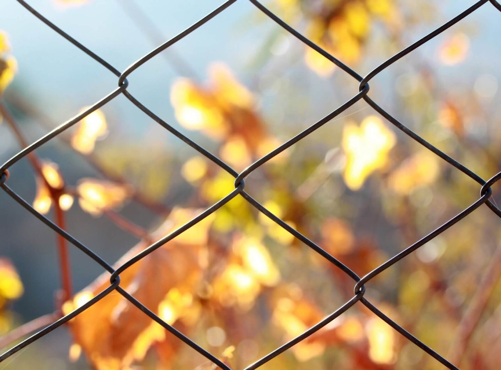 jakie ogrodzenie jest najtańsze na przykładzie posesji