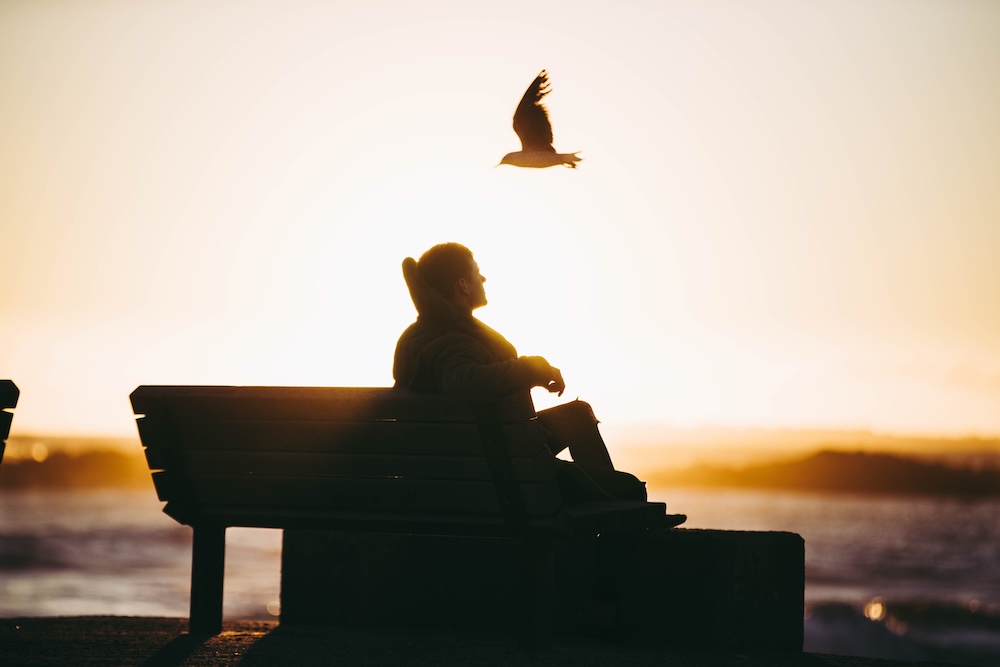 mężczyzna na ławce nad morzem zachód słońca nad morzem