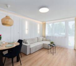 jasny salon z sofą i jadalnią