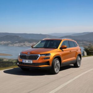 skoda karoq w trasie